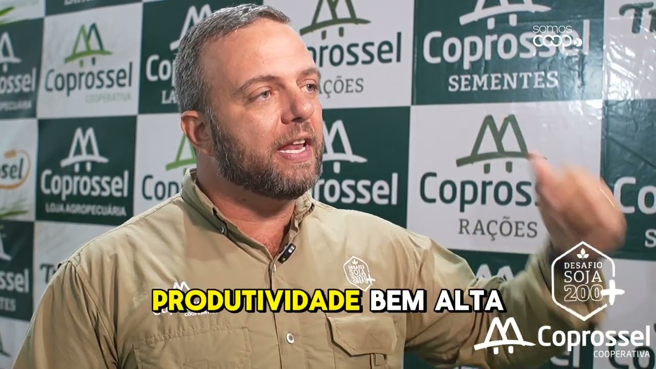 Alta produtividade na soja